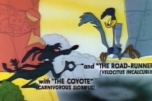 Kojot a Road Runner - Rychlejší než většina